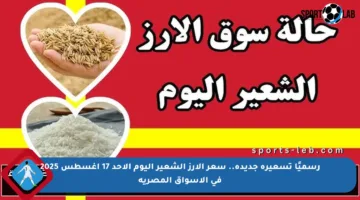 رسميًا تسعيرة جديدة.. سعر الأرز الشعير اليوم الأحد 17 أغسطس 2025 في الأسواق المصرية
